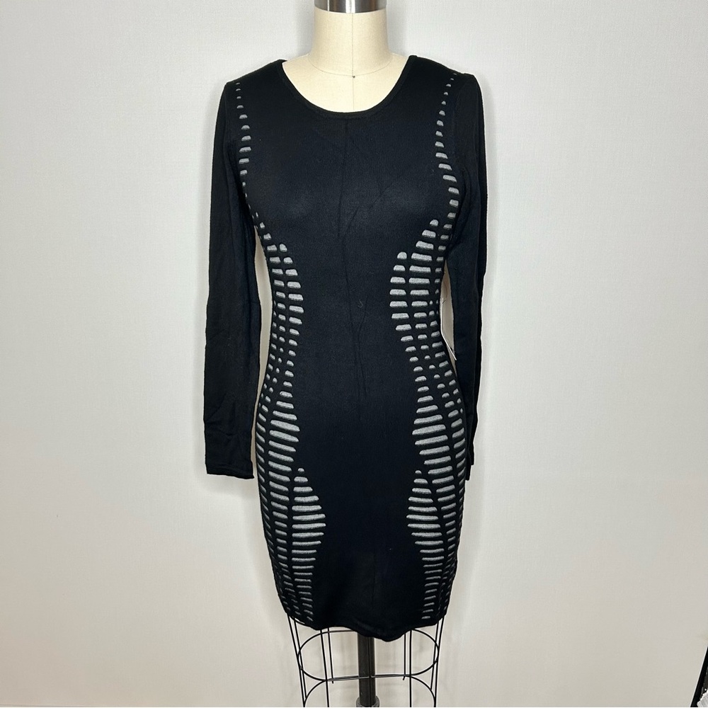 NWT Express Knit Bodycon Dress